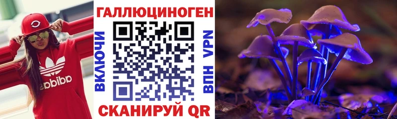 Псилоцибиновые грибы Psilocybine cubensis  Бугуруслан 